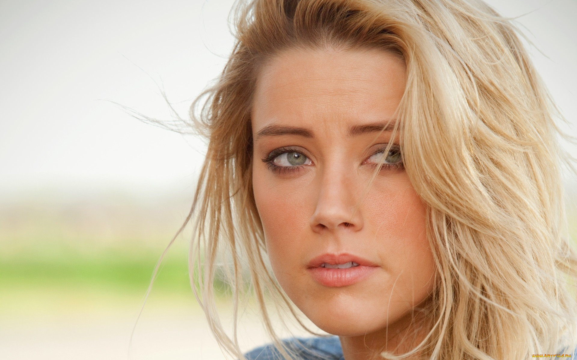 , amber heard, , , 